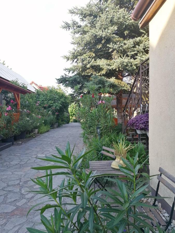 Szentesi Panzio Bed & Breakfast Fertorakos Exterior photo