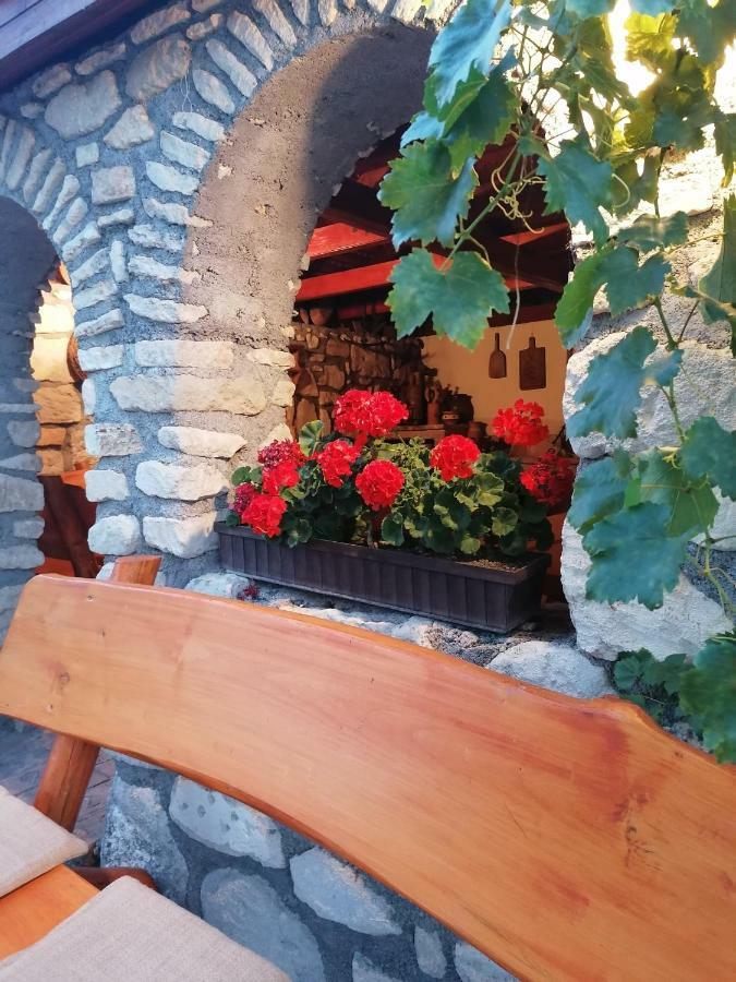 Szentesi Panzio Bed & Breakfast Fertorakos Exterior photo