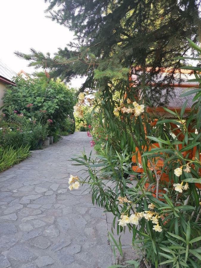 Szentesi Panzio Bed & Breakfast Fertorakos Exterior photo